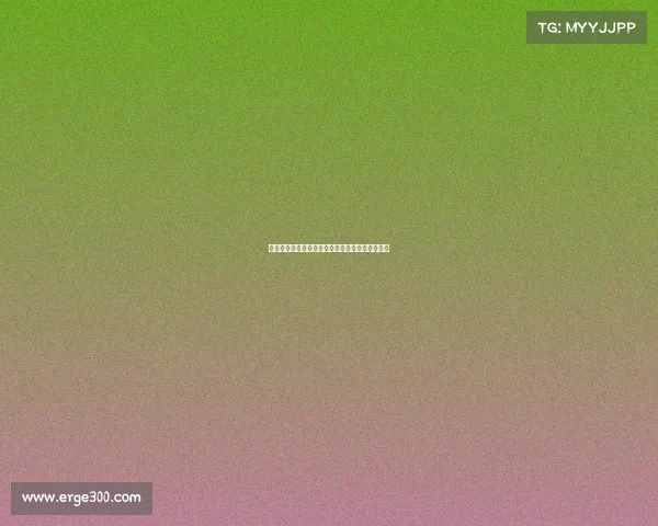 法甲女足新赛季战况分析与顶级球员表现全面解读