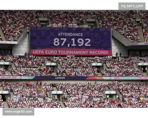 英超赛季观众人数统计分析及其对赛事发展的深远影响 英超赛季观众人数统计分析及其对赛事发展的深远影响