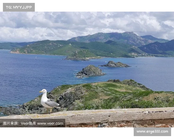 阿雅克肖:探索科西嘉岛的文化魅力与自然风光之旅 阿雅克肖:探索科西嘉岛的文化魅力与自然风光之旅